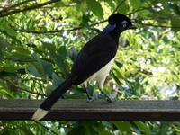 189-Parque_Nacional_Iguacu &ndash; &copy; Dirk Schlosser (Eberhardt TRAVEL)