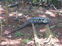 192-Parque_Nacional_Iguacu &ndash; &copy; Dirk Schlosser (Eberhardt TRAVEL)