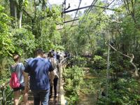 203-Parque_das_Aves &ndash; &copy; Dirk Schlosser (Eberhardt TRAVEL)