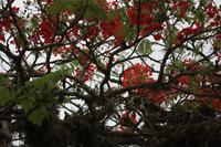 Paraty &ndash; &copy; Anne-Maria Friedrich (Eberhardt TRAVEL)