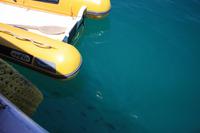 Bootstour &ndash; &copy; Anne-Maria Friedrich (Eberhardt TRAVEL)