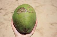 Kokosnuss &ndash; &copy; Anne-Maria Friedrich (Eberhardt TRAVEL)