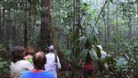 Dschungelwanderung &ndash; &copy; Anne-Maria Friedrich (Eberhardt TRAVEL)