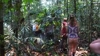 Dschungelwanderung &ndash; &copy; Anne-Maria Friedrich (Eberhardt TRAVEL)