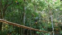 Vogelpark Iguazu &ndash; &copy; Anne-Maria Friedrich (Eberhardt TRAVEL)