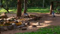 Vogelpark Iguazu &ndash; &copy; Anne-Maria Friedrich (Eberhardt TRAVEL)