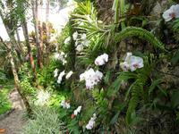 21 Paraty (12) &ndash; &copy; Anett Scheffler (Eberhardt TRAVEL)