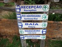 60 Pantanal Pousada Aguape (6) &ndash; &copy; Anett Scheffler (Eberhardt TRAVEL)