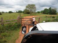 60 Pantanal Pousada Aguape (86) &ndash; &copy; Anett Scheffler (Eberhardt TRAVEL)