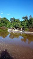 70 Pantanal Pousada Aguape (19) &ndash; &copy; Anett Scheffler (Eberhardt TRAVEL)
