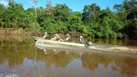 70 Pantanal Pousada Aguape (21) &ndash; &copy; Anett Scheffler (Eberhardt TRAVEL)