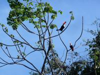 70 Pantanal Pousada Aguape (22) &ndash; &copy; Anett Scheffler (Eberhardt TRAVEL)