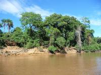 70 Pantanal Pousada Aguape (35) &ndash; &copy; Anett Scheffler (Eberhardt TRAVEL)