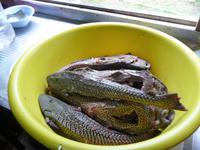 90 Auf dem Amazonas (42) &ndash; &copy; Anett Scheffler (Eberhardt TRAVEL)