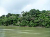 100 Auf dem Amazonas (6) &ndash; &copy; Anett Scheffler (Eberhardt TRAVEL)