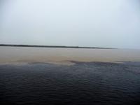 101 Amazonas Zusammenfluss (6) &ndash; &copy; Anett Scheffler (Eberhardt TRAVEL)