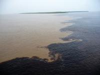 101 Amazonas Zusammenfluss (8) &ndash; &copy; Anett Scheffler (Eberhardt TRAVEL)