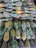 102 Auf dem Markt in Manaus (6) &ndash; &copy; Anett Scheffler (Eberhardt TRAVEL)