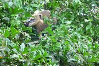 105 Iguazu Brasilien (18) &ndash; &copy; Anett Scheffler (Eberhardt TRAVEL)