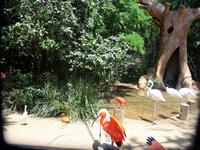106 Parque das Aves Iguazu (2) &ndash; &copy; Anett Scheffler (Eberhardt TRAVEL)