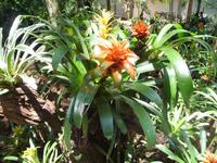 106 Parque das Aves Iguazu (4) &ndash; &copy; Anett Scheffler (Eberhardt TRAVEL)