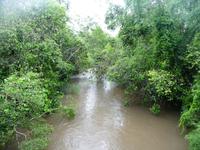 120 Iguazu Argentinien (18) &ndash; &copy; Anett Scheffler (Eberhardt TRAVEL)