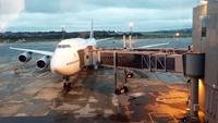 126 Unser Siegerflieger (1) &ndash; &copy; Anett Scheffler (Eberhardt TRAVEL)