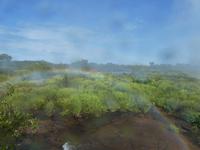Nationalpark Iguazú (18) &ndash; &copy; Jörg Nesse (Eberhardt TRAVEL)