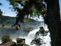 Nationalpark Iguazú (52) &ndash; &copy; Jörg Nesse (Eberhardt TRAVEL)