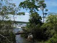 Nationalpark Iguazú (55) &ndash; &copy; Jörg Nesse (Eberhardt TRAVEL)