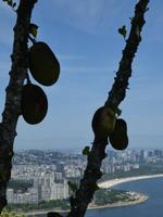 Rio de Janeiro (28) &ndash; &copy; Jörg Nesse (Eberhardt TRAVEL)