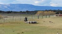 Estancia El Calpon 