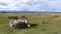 Estancia El Calpon 