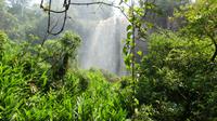 Iguazu, argentinische Seite