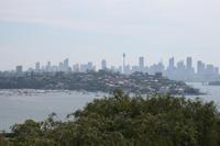 Skyline von Sydney