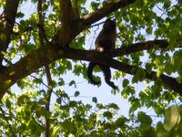 &copy; Helen Krippner (Eberhardt TRAVEL)
