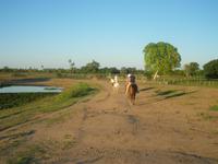 &copy; Helen Krippner (Eberhardt TRAVEL)