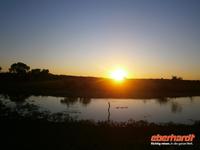 Pantanal &ndash; &copy; Helen Krippner (Eberhardt TRAVEL)