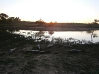Pantanal &ndash; &copy; Helen Krippner (Eberhardt TRAVEL)