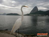 Rio de Janeiro - Zuckerhut &ndash; &copy; Helen Krippner (Eberhardt TRAVEL)
