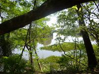 Im Pantanal &ndash; &copy; Sylvia Sann (Eberhardt TRAVEL)