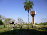 Pantanal &ndash; &copy; Sylvia Sann (Eberhardt TRAVEL)