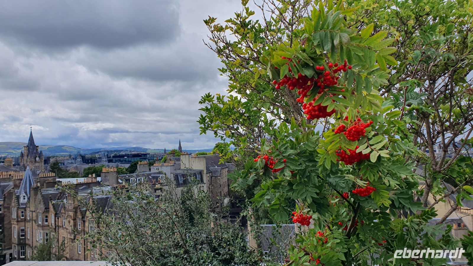 Blick vom Dach des Edinburh National Museum 20230822_130012.jpg &ndash; &copy; Marlies Thrum (Eberhardt TRAVEL)
