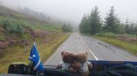 Fahrt durch die Highlands 20230825_120040.jpg &ndash; &copy; Marlies Thrum (Eberhardt TRAVEL)
