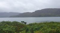 Little Loch Broom 20230825_122107.jpg &ndash; &copy; Marlies Thrum (Eberhardt TRAVEL)