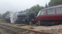 Strathspey Railway 20230826_112556.jpg &ndash; &copy; Marlies Thrum (Eberhardt TRAVEL)