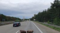 Rückreise 20230829_172032.jpg &ndash; &copy; Marlies Thrum (Eberhardt TRAVEL)