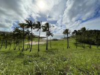 Zu Besuch am Traumstrand Anakena &ndash; &copy; Jacob Spangenberg (Eberhardt TRAVEL)