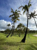 Zu Besuch am Traumstrand Anakena &ndash; &copy; Jacob Spangenberg (Eberhardt TRAVEL)