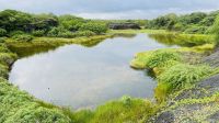Isla Isabela  &ndash; &copy; Jacob Spangenberg (Eberhardt TRAVEL)